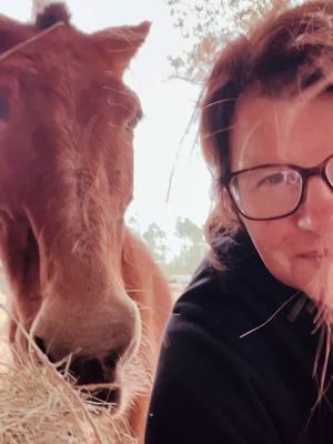 The Best days are spent on the farm with these guys. #mule #equine #horse #horsesoftiktok #equinelife #mulesoftiktok #myheart #Love #fatm #farmlife #farmlifeisthebestlife #sweet #peace #lovewhereyoulive #florida #wind #peaceful #bekind #cutenessoverloaded #trend #viral #fyp #aniamls #goviral #floridawinter #lovelife #trending 