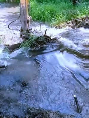 #unclog #unclogging #beaverdam #removal #mechanical #excavation #uncloggingdrains #drainplug #poop #pipes #satisfying #oddlysatisfying #asmr #fyp #fypage #viralvideo #foryou 