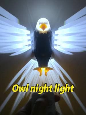 Do you like this eagle night light?#3dprintingtips #goodthings #3dprinting #3dprinted #nightlight