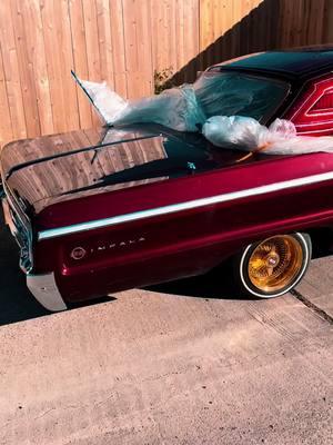 Getting some sun  #fyp #parati #lowrider #custompaint #impala #lowriderlifestyle #houstonlowriders 