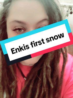 The other videos I had were taken in this app and didn't save😒 #snowday #snow #catsfirstsnow #esotericshell #enkishenanigans #littleloki #paganfamily 