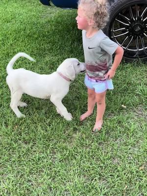 #toddlersaresavage #NoDisrespect #toddlersofticktok #saveme #WalkingRedFlag #FutureRedFlag #fishing #DontTalkBack #Jesustakethewheel #Barefoot #Puppy #PuppiesOfTikTok #barefoot##cutepuppy #excuseme #viral less