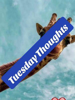 Tuesday thoughts #tuesday #thoughts #simpleepositive #patcast1126 #spcvisible #daqueensthrone #duetraiders #drteampat #drew1982 #💫💥positiveminds💫💥 #DRWedFun #ladeebm💜 