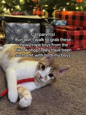 These chewy rope toys come in a set of 3 and are infused with catnip so they really get the kitties playful. Both of my cats play with these multiple times a day and they are super strong and hold up so well! #cattok #cattoy #catmom #catdad #catsoftiktok #playfulcat #kittens #kittensofinstagram #TikTokShop 