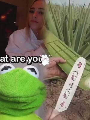 Kermit has Rizz! 🤣🤣 Kermits dropping game! #kermit #funny #kermitthefrog #puppet #funnyvideos #kermitontiktok #rizz #meme #wrizz #pickupline #rizzler #droppinggame 