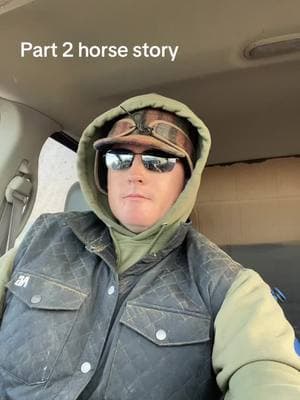 Part 2 Buster. #horsestory #horsestorytime #storytime #cowboy #rodeo #trainstation #ranching #rodeohorse #ranchhorse #oldhorse #buster #wheredidhego #fy #fyp #foryoupage  #itaintallguitarsandsunsets 