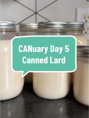 You can also do this with beef fat to render tallow. *this is technically rebel canning so if you aren’t comfortable with that you can also freeze the lard.  #homesteadkitchen #canningandpreserving #canuary #canningforbeginners #cooklikeahomesteader #lard #rendering #CapCut 