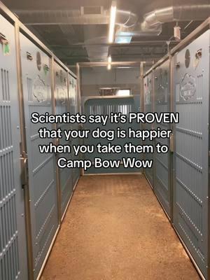 Scientists are ABSOLUTELY correct 🥰 #Campbowwow #Bloomfield 