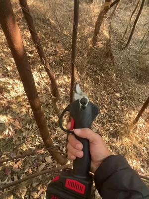 #electricsecateurs #goodthingstoshare #viral #gardening #pruning #gardening#electricscissor #treecutter #electricshears #pruning #treecut #electric tools #battery