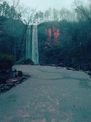 Nature Vibes in Georgia - Toccoa Falls  #waterfall #waterfalls #nature #naturevibes #naturelove #naturelover #naturelovers #calming #positivevibe #peaceful #goodvibes #longwaydown #forest #forestvibes #photography #beauty #fyp #takeawalk #explore #trail #Hiking #hike #Outdoors #trails #lovetrails #positivevibes #natureisbeautiful #meditation #aestheticnature #timepass #lostworld #meditate #trailspinexplorer  #hiddengems 