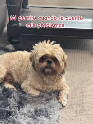 #CapCut mi Otis no me tiene compasión #🤣🤣🤣🤣🤣🤣🤣🤣🤣🤣🤣🤣🤣🤣🤣🤣 #dogsoftiktok #dogmom #🧸 #doghumor #perritosdetiktok #fyp #fypシ #fypシ゚viral #fyppppppppppppppppppppppp 