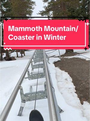 Mammoth Lakes is always a win. We love Woolley’s Adventure Summit, $94 for coaster and tubing for 2 hours. Plus they have a comfy cafe to warm up and grab something to eat/drink. Reserve ahead of time for weekends! #mammothlakes #mammothcoaster #mammothtubing #mammothfamilyactivities #woollysadventuresummit 