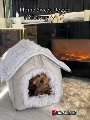 When your dog thinks he’s a cat but ends up with the coziest little house bed. 🐾✨ Cold days = ultimate snuggle mode #DogLife #TinyDogBigAttitude #PetCozyCorner #Petahousebed #yorkiesoftiktok #FurryHideaway #SnuggleSeason #DogMomLife #SmallButMighty #PetGoals #CozyVibesOnly