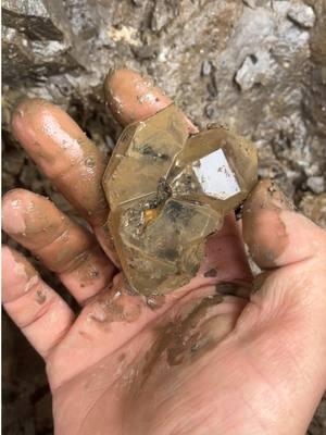 Here’s a peek into my second pocket of the 2024 season, way back on May 13 at @herkimerdiamondmines! This one contained a pretty good volume of crystals, most of which were singles and clusters under 2.5” with excellent clarity and inclusions of black hydrocarbon. #crystals#quartz #herkimerdiamond#mine#fypシ#Minecraft#crystaltok#mine