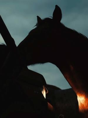 Rough footage of perfect nights shooting at @valleyequinerepro in Stephenville, TX.  —— #texasranches #texasranching #texasranch #ranchphotography #ranchphoto #ranchvideo #ranchvideography #ranchlife #ranchlifestyle #ranching #westernlife #westernlifestyle 