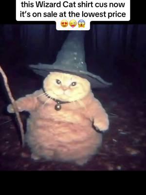 #wizardcat #wizard #cat #catsoftiktok #wizardsofwaverlyplace #catmeme 