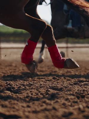 Step into the arena in style with your favorite color boots from Cactus Gear!🕺#conquerwithcactus #cactusgear #gearup #cactus #cactusropes #teamcactus #teamroping #boogieshoes #fyp #boots #newbootgoofin #protect #foru #forupageシ #shoes 