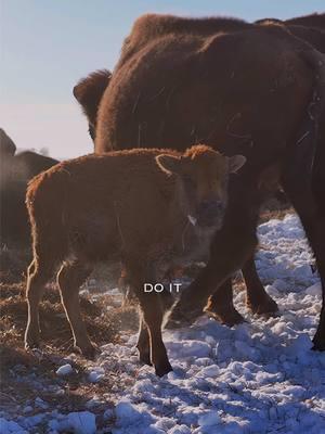 Take that time! 🙌 #TheMcBeeDynasty #McBeeDynasty #Western #CountryLife #Farmer #Farming #FarmLife #FarmersofInstagram #Farmtok #fyp #FarmToTable #FarmLove #FarmVibes #Farmhouse #FarmLiving #FarmersLife #PeacockTV #USAnetwork #RuralLife #Homestead #Livestock #Heartland #Missouri #smalltown 