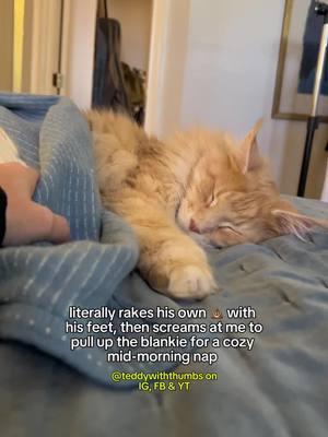 I try not to think about it too hard #cattok #catsoftiktok #mainecoon #mainecooncat #polydactylcat 