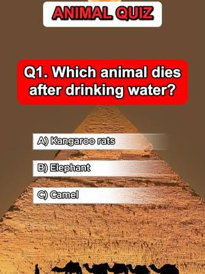 Can you get 10/10? #animals #animalquiz #quiz #quiztime #trivia #usa_tiktok #generalknowledge