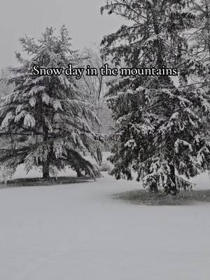 Snow day in the mountains #mountainmaryland #westernmaryland #appalachia #appalachianmountains #bookish #snowday #winter 