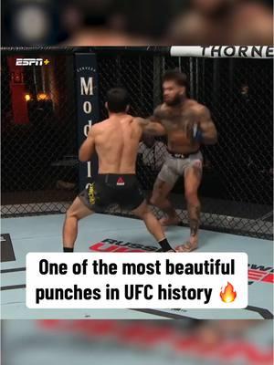 #UFC #mma #ko #punch #codygarbrandt 