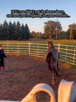 Questioning life choices after this one 😅 #horsegirl #horsesontiktok #horserehab #veterinarian #horselover 