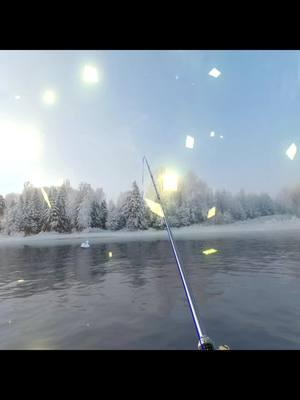 Real VR Fishing… #vrgame #quest3 #realvrfishing #vrgaming #fy #trending #viralvideo #fishon #like #share #comment #creator #metaquest3 #amazing #vrgameplay #bestvrgames #vrfishing #fishing #fishinglife #tiktokfishing #relaxation #simulation #realistic #musttry #tiktokvrial #vrtiktok 