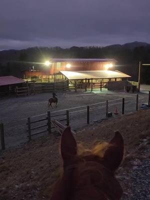 I want to make a difference.  I want to be part of the 9, but I'm working toward becoming that 1! #luckyahorsemanship #coltstarter #horsetrainer #noregrets #stayhumble #itsallornothing #trusttheprocess #lovetheprocess #giveityourall #neverstop #buildconfidence #consistencyiskey #smallsteps #noexcuses #dreambig #real #justbeyou 