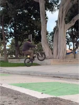 @Dakota Roche #cultcrew #bmx #fy 