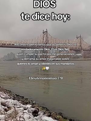 DIOS te dice hoy!!✨️🤍 #PalabraDeDios #ParaTi #DiosTeDiceHoy #DiosTeDice #DeDiosParaTi #VideosCristianos #Biblia #Versiculos #TikTokCristianos #ReflexionesCristianas 