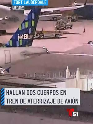 Dos personas muertas fueron encontradas en el tren de aterrizaje de un avión de JetBlue en el aeropuerto de Fort Lauderdale. El avión había operado el vuelo 1801 desde el aeropuerto JFK de Nueva York. #fortlauderdale #jetblue #florida #jfk