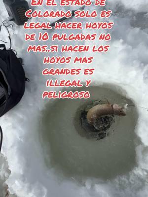 Escucha si pescas en el hielo 👍#pesca #pescador #pescaderia #icefishing #trout #walmart #cabelas #colorado #fyp #gratis #latino #usa🇺🇸 #mexico🇲🇽 #viralvideo #pesca316 #paratiiiiiiiiiiiiiiiiiiiiiiiiiiiiiii 