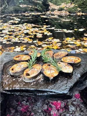 Sea mackerel grilled on hot rocks in the middle of nature, special sauce recipe in the middle of the forest to create a special fish flavor 🐟🪵🔥💦🌲 #outdoorcooking #cookingasmr #Recipe #leon #cookingnature #foodtiktok #camping #cooking #sea