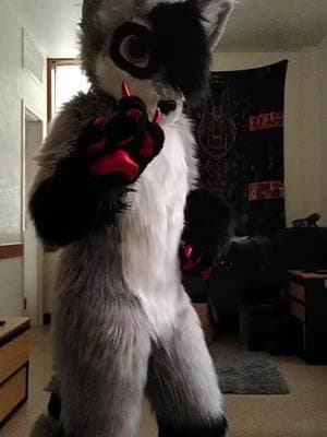 Somebody gave me the plague, I'm dying. #fursuit #fursuits #fursuiter #fursuiters #fursuiting #furry #furries #fursuitersoftiktok #fursuitsoftiktok #furriesoftiktok #raccoon #raccoons #raccoonsoftiktok #raccoonfursuit #raccoonfursuiter #rokidokirockstar #fyp #foryou #foryoupage #trending 