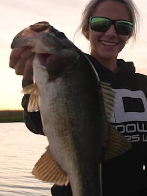 Evenings on Okeechobe 🫶🏼 #girlswhofish #fishtok #fypシ #foryoupage #bassfishing #lakeokeechobee #thedays #flbass #floridafishing #Lifestyle #homelake 