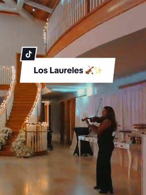 Los Laureles 🎻✨ #loslaureles #violin #violinista #tocada #regionalmexicano #musicaenvivo #viral #arizona 