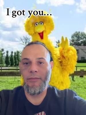 I got bored. Let’s see how bad this does #greenscreen #peteandbas #mugshotfreestyle #mugshot #peteandbasmigshot #mugshotchallenge #bigbird #sesame #bigmingeenergy #ratatatatata #9mmsocket #melody @Peteandbas 