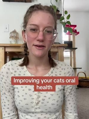 How to improve your cats oral health #cats #catsoftiktok #felinenutrition #catadvice #catnutrition #petadvice 