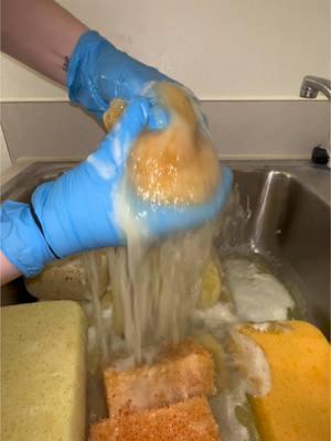 here’s a pine jelly pine water squeeze thingy lol  #pinesol #pinesoloverload #ogpine #fabuluso #fab #lavenderfab #ajax #wholebottle #dishsoap #gain #foca #laundry #overload #tide #lestoil #pinalen #spongesqueezeasmr #spongerinse #squeeze #spongepour #asmr #trending #foryoupage #foryou #fyp #cleaningsupplies #clean #CleanTok #cleaning #satisfying #bubbles #soap #bleach #scrubdaddy #mrclean #lysol 