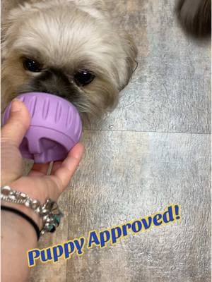 So cool and Norman loves it. My cat is even interested in it! #PetsOfTikTok #pet #dog #cat #treat #petmoms #dogmom 