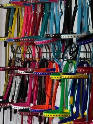 Charles Earl, aka King Charles is the owner of CE Bridles. Many people ask where do riders get those colorful custom bridles from...??  More often than not, it was made by King Charles.  Make sure you contact CE Bridles for your next set...   #roadride #bridles #headstall #horsetack #tack #entrepreneur #business #blackowned #support #SmallBusiness #community #Cowboys #horsemen #Racers #fyp