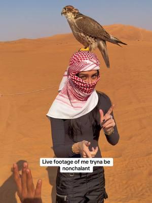 Why was this my first thought☺️ #sistabu #nonchalant #dubai #sosilly #falcon #desert #uroldersister #travel #vacation #dubaidesert #dubailife #adventure #safari #thingstodo #desertsafari #bird #trending #viral #relatable #funny #fyp #dancechallenge #dance 