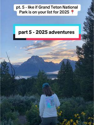 part 5 - one of the best, Grand Teton needs to be on your 2025 list ✔️ #fyp #foryou #foryoupage #wyoming #travel #traveltok #traveltiktok #roadtrippin #roadtrip #travel #grandtetons #grandtetonnationalpark #tetons #mountains #wildflowers #2025 #2025travelgoals #2025goals 