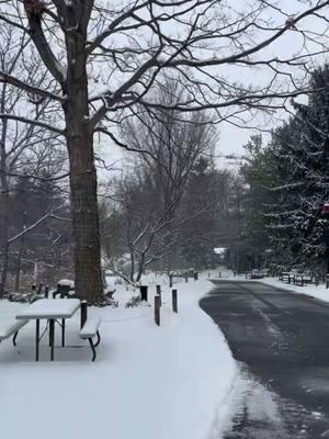 A snowy Zoo day 💙❄️🐅 #winter #cbus #snow #columbusohio #columbus 