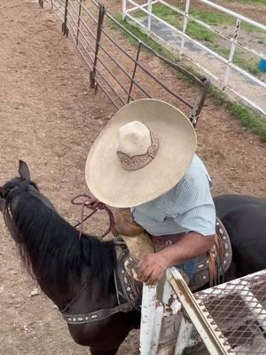 #rojasranch #caballos #charreria #charro #ejercicio #Rojashorseperformers #topandomasizo💥👊 #prieto #hollywooddunit #horse #cowhorse 