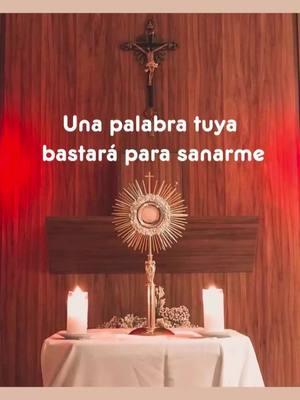 #altisimoseñor🙏 #jesussacramentado 