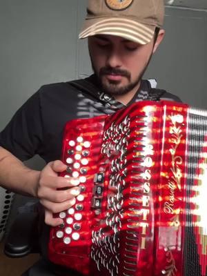 #eduargoat #reynaldosdelasierra #fuerzaregida #crayzy #musica #musico #musicos #musicosentiktok #acordeon #acordeonista #acordeonistas #accordion 