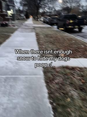 Jk guys I do pick up his poop it keeps my hand warm🥰☺️ #caca #poop #dog #snow #winter 