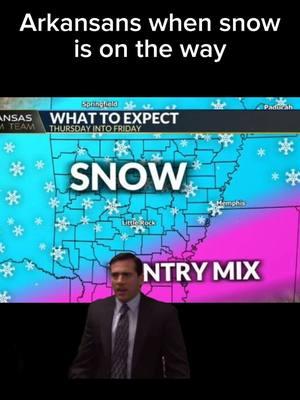 We don't know how to act 🤣 #Meme #MemeCut #memenatal #CapCut #tiktok #snow #freakout #winter #fyp #foryoupage #Arkansas #breadandmilk 